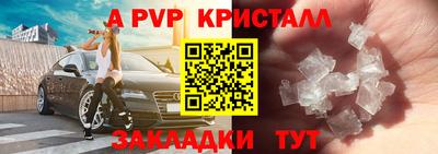 хмурый Новозыбков
