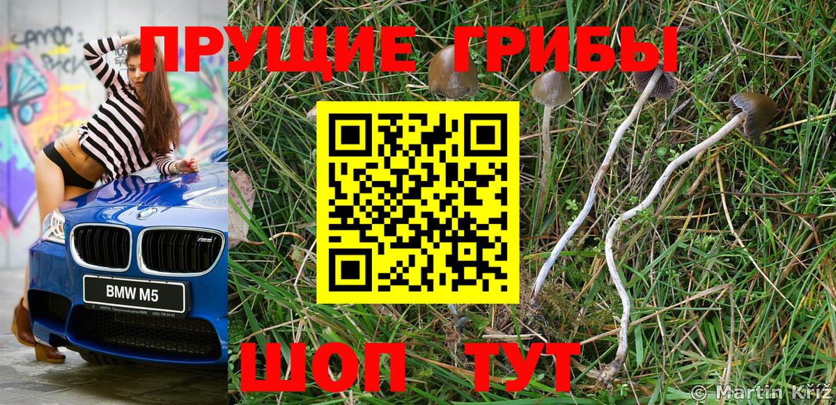 Галлюциногенные грибы Magic Shrooms Сердобск