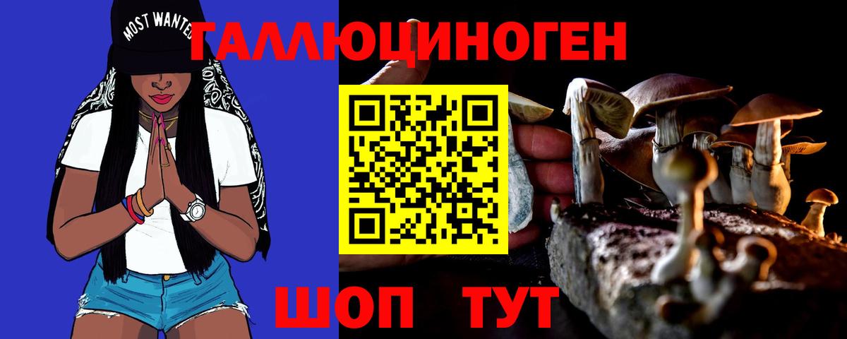 Галлюциногенные грибы Psilocybe  Вход с VPN  Сердобск  Галлюциногенные грибы Magic Shrooms 